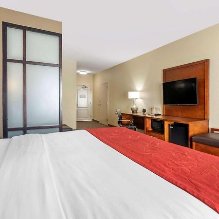 Comfort Suites Florence I-95 מראה חיצוני תמונה